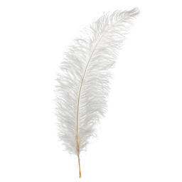 John Bead Ostrich Spad Feather - White - upright