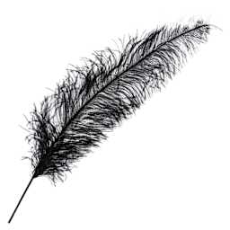 John Bead Ostrich Spad Feather - Black