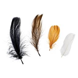 John Bead Turkey Feathers - Natural Colors Mix, 4 - 6" - one of each feather