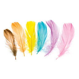 John Bead Turkey Feathers - Spring Colors Mix, 4 - 6" - one feather of each color