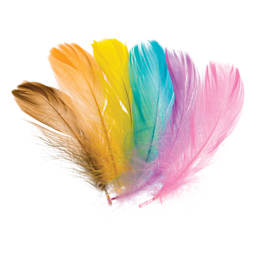 John Bead Turkey Feathers - 60 g, Spring Colors Mix, 4 - 6"