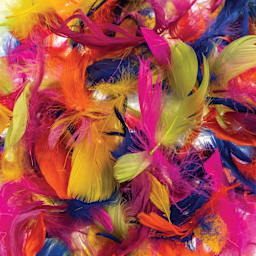 John Bead Turkey Feathers - Neon Colors Mix, 4 - 6" - close-up of many feathers