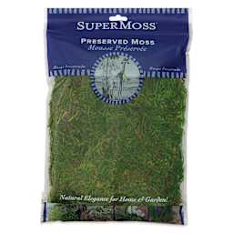 SuperMoss Preserved Forest Moss - front of packaging