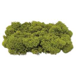 SuperMoss Preserved Reindeer Moss - Chartreuse, side view