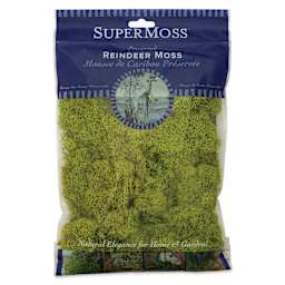 SuperMoss Preserved Reindeer Moss - Chartreuse, front of packaging