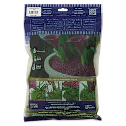 SuperMoss Preserved Reindeer Moss - Basil, back of packaging