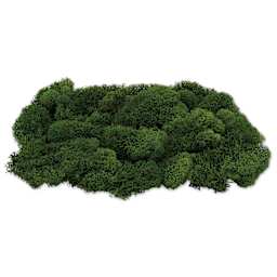 SuperMoss Preserved Reindeer Moss - Basil, side view