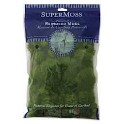 SuperMoss Preserved Reindeer Moss - Basil, front of packaging