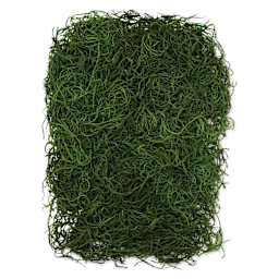 SuperMoss Preserved Spanish Moss - Grass Green