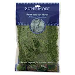 SuperMoss Preserved Spanish Moss - front of packaging