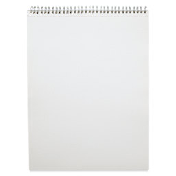 Van Gogh Drawing Pad - 11" x 14", interior sheet