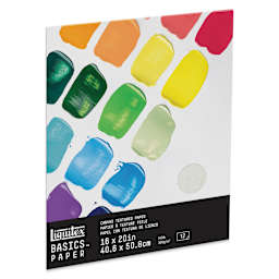 Liquitex Basics Canvas Textured Paper Pad - 16" x 20", 12 Sheets