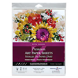 Stillman & Birn Zeta Series Art Paper - 8" x 10", front of the packaging