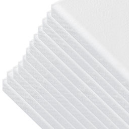 Hello, Artist! Canvas, Pkg of 12, 8" x 8"