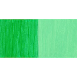 Nova Color Artists’ Acrylic Polymer Paint - Fluorescent Green swatch