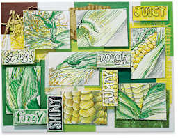 Observe-Like-OKeeffe