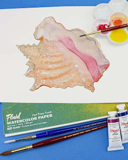 Bundle Conch