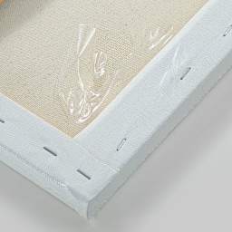 Blick Imperfect Canvas Closeout (Stretched Canvas Example Back)