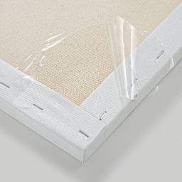 Blick Imperfect Canvas Closeout (Stretched Canvas Example Back)