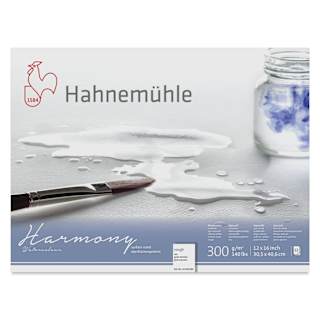 Hahnemühle Harmony Watercolor Block - 12" x 16", Rough, 12 Sheets, 140 lb