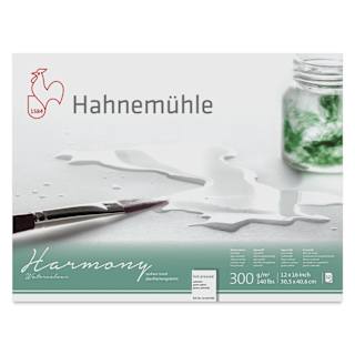 Hahnemühle Harmony Watercolor Block - 12" x 16", Hot Press, 12 Sheets, 140 lb