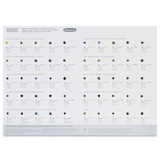 Schmincke Horadam Aquarell Artist Watercolor - 50 Color Dot Card, Supergranulation