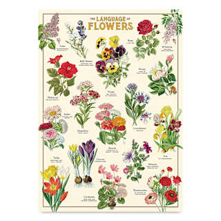 Cavallini Language of Flowers Gift Wrap