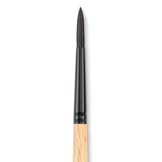 Princeton Catalyst Polytip Brush - Round, Size 6, Short Handle