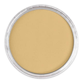 PanPastel Artists’ Painting Pastel - Metallic Rich Gold, 911.5