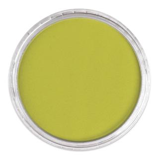 PanPastel Artists’ Painting Pastel - Hansa Yellow Shade, 220.3