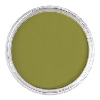 PanPastel Artists’ Painting Pastel - Bright Yellow Green Shade, 680.3