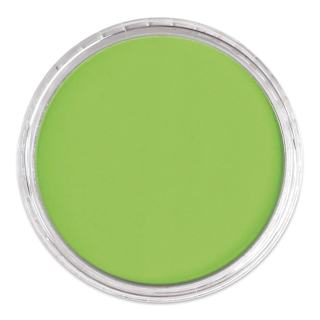 PanPastel Artist Painting Pastel - Yellow Green, 690.5