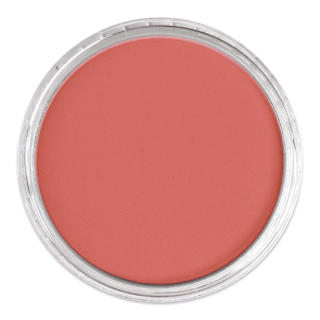 PanPastel Artist Painting Pastel - Permanent Red Medium, 340.6