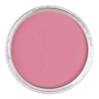 PanPastel Artist Painting Pastel - Permanent Red Light, 340.7