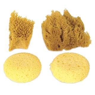Royal & Langnickel Natural and Synthetic Artist Sponges - Pkg of 4