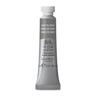 Winsor & Newton Professional Watercolor - Davy's Gray, 5 ml Tube