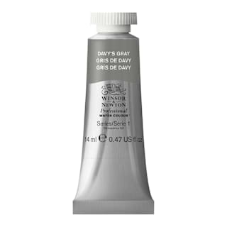 Winsor & Newton Professional Watercolor - Davy's Gray, 14 ml Tube