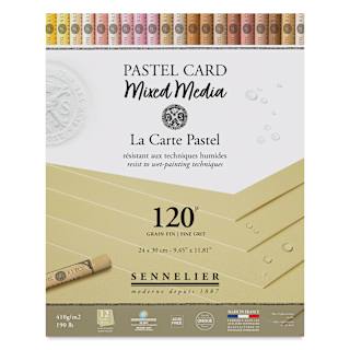 Sennelier La Carte Pastel Card Mixed Media Pad - Naples Yellow, 9-1/2" x 12", 190 lb, 12 Sheets