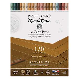 Sennelier La Carte Pastel Card Mixed Media Pad - Earth Tones, 9-1/2" x 12", 190 lb, 12 Sheets