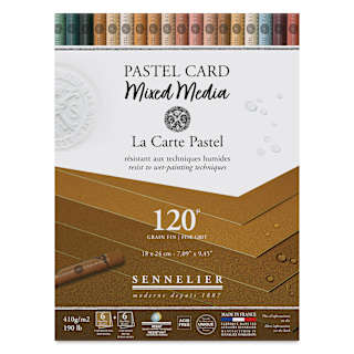 Sennelier La Carte Pastel Card Mixed Media Pad - Earth Tones, 7" x 9-1/2", 190 lb, 12 Sheets