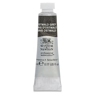 Winsor & Newton Professional Watercolor - Ostwald Gray, 5 ml