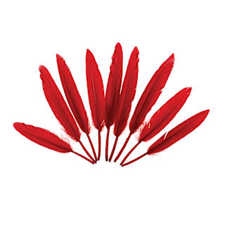 John Bead Duck Quill Feathers - Pkg of 72, Red