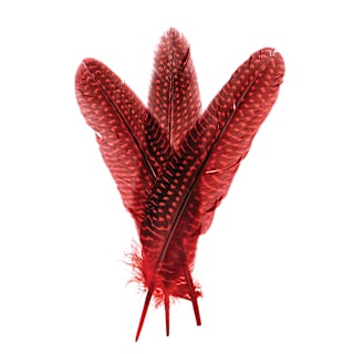 John Bead Guinea Fowl Quill Feathers - Pkg of 30, Red