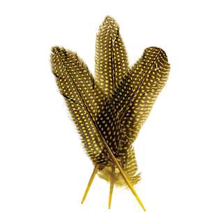 John Bead Guinea Fowl Quill Feathers - Pkg of 30, Yellow