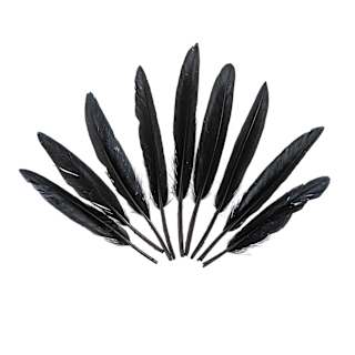 John Bead Duck Quill Feathers - Pkg of 72, Black