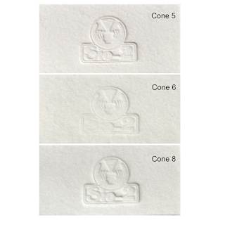 Sio-2 Cellulain Porcelain Paper Clay - 11 lb