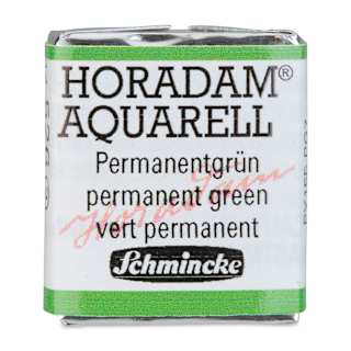 Schmincke Horadam Aquarell Watercolor - Permanent Green, Half Pan