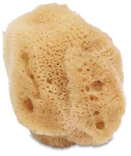 Royal & Langnickel White Silk Sponge - 2 1/2"-3"