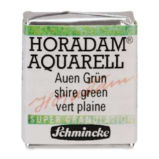 Schmincke Horadam Aquarell Artist Watercolor - Shire Green, Supergranulation, Half Pan