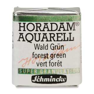 Schmincke Horadam Aquarell Artist Watercolor - Forest Green, Supergranulation, Half Pan